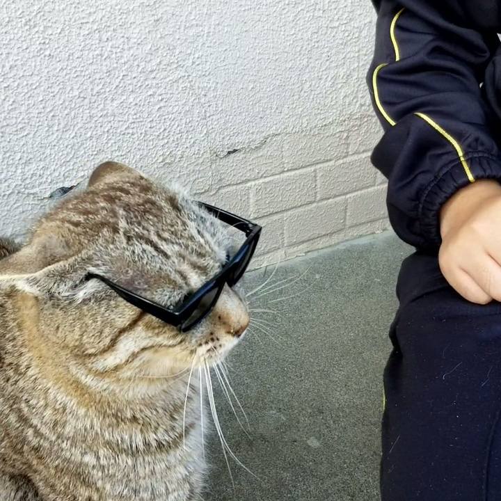 7be499b9 da8e 4ec8 ade9 ec7457c192ad 1684592915788