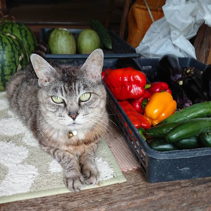 7be4b1b0 f210 4f2d abb8 a3bf9f374899 1567304938706