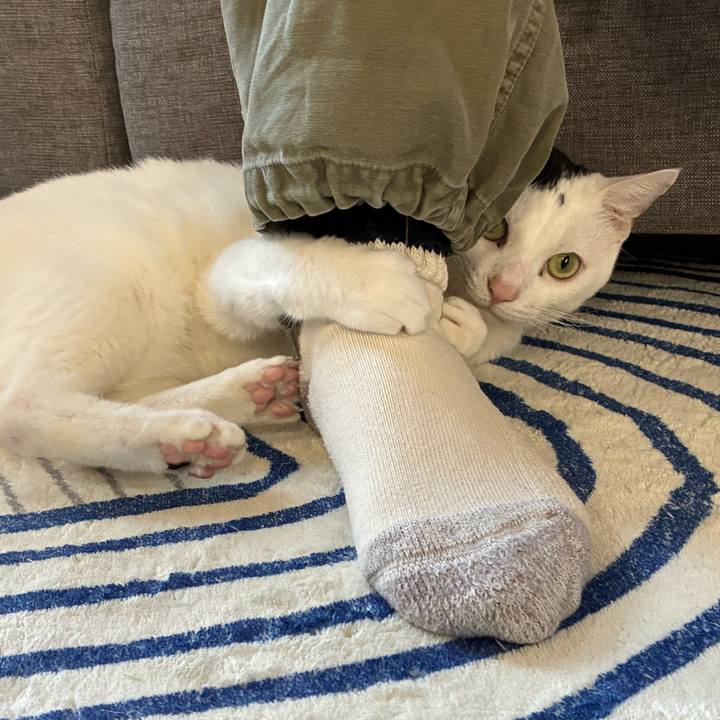 7be4bdab 5f7e 4747 99f3 68d0cd51fe4c 1768296923908