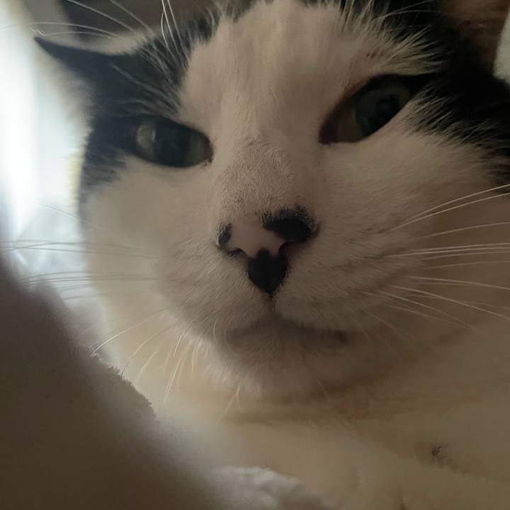 7be4cfe2 1069 47c2 b7bd 1af4d889cffa 1647812818295