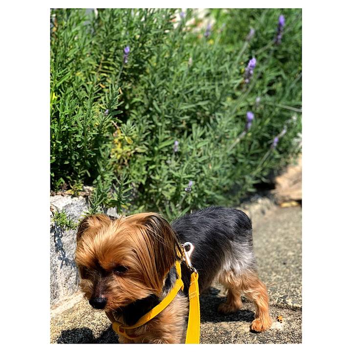 7be4de04 8999 4b5b 8321 4453904d76ba 1588285642723