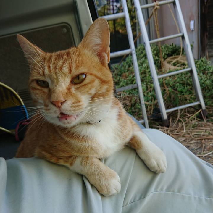 7be5046a 1eb3 4b94 a36b e79bd6b8ce27 1592642565448