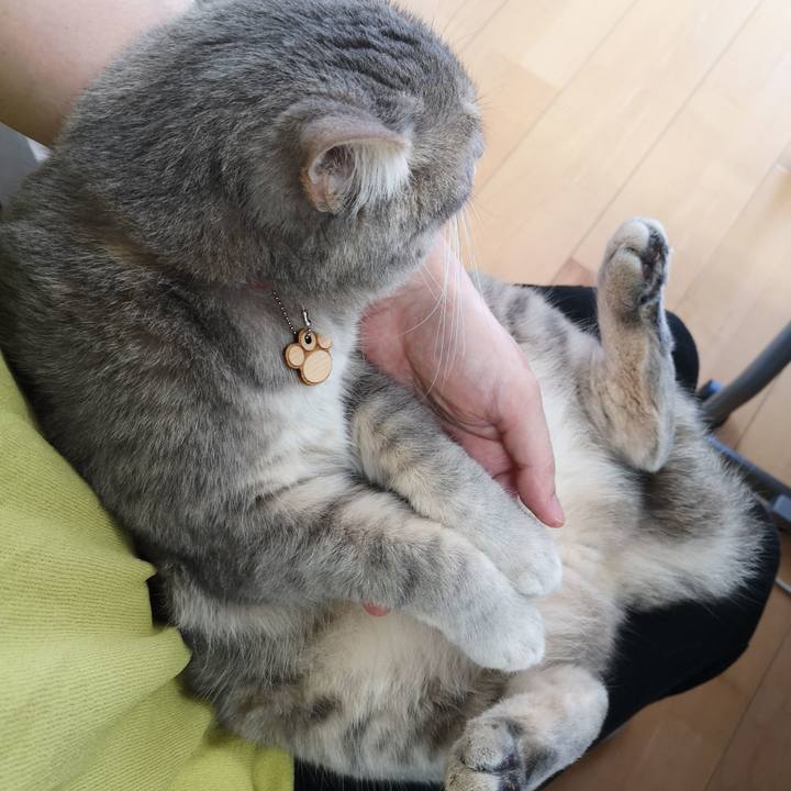 7be5451c 1226 4d2d adf2 5950a26bd1d7 1563338148507