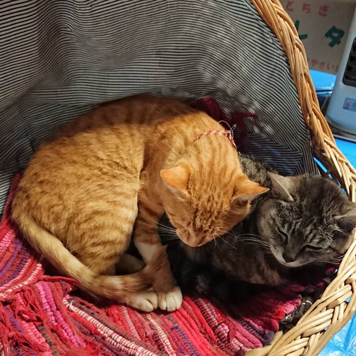 7be5502f 2202 497e 89fa 5fff360d4894 1561789059770