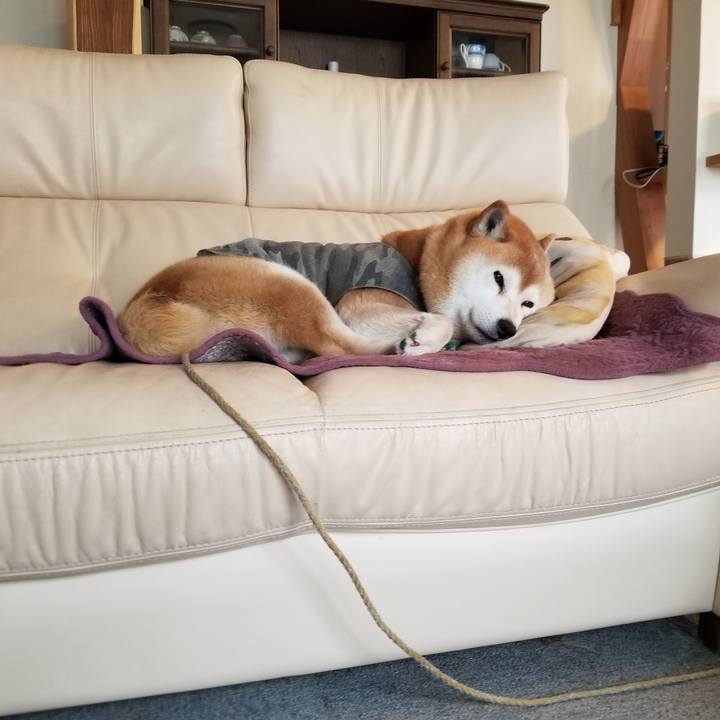 7be55eb8 3490 446c a9eb 7d16908b0cfc 1650149741937