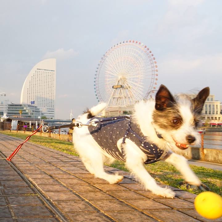 7be58607 2b14 4e28 9e4d edbd911e4a04 1554118346166