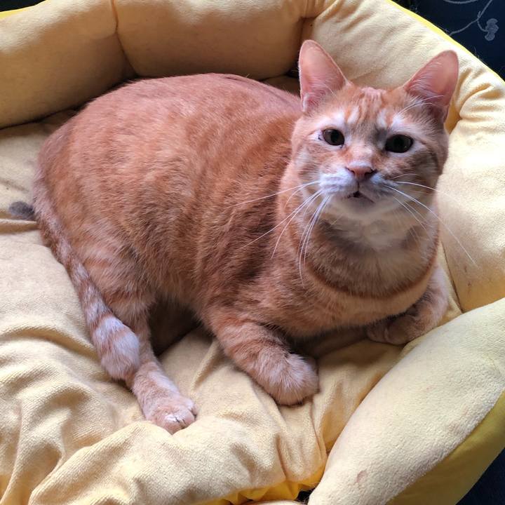 7be58da2 60bb 40ce b8c3 8f53ab0cb96a 1563584065294