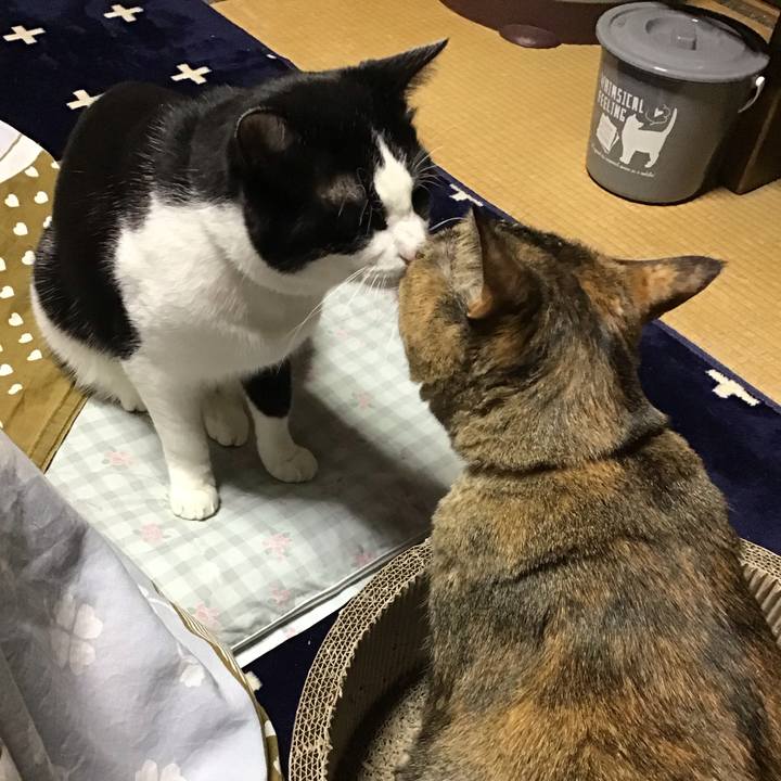 7be5a70f 4907 4f6f 9410 ac0bbb5e8385 1709715672571