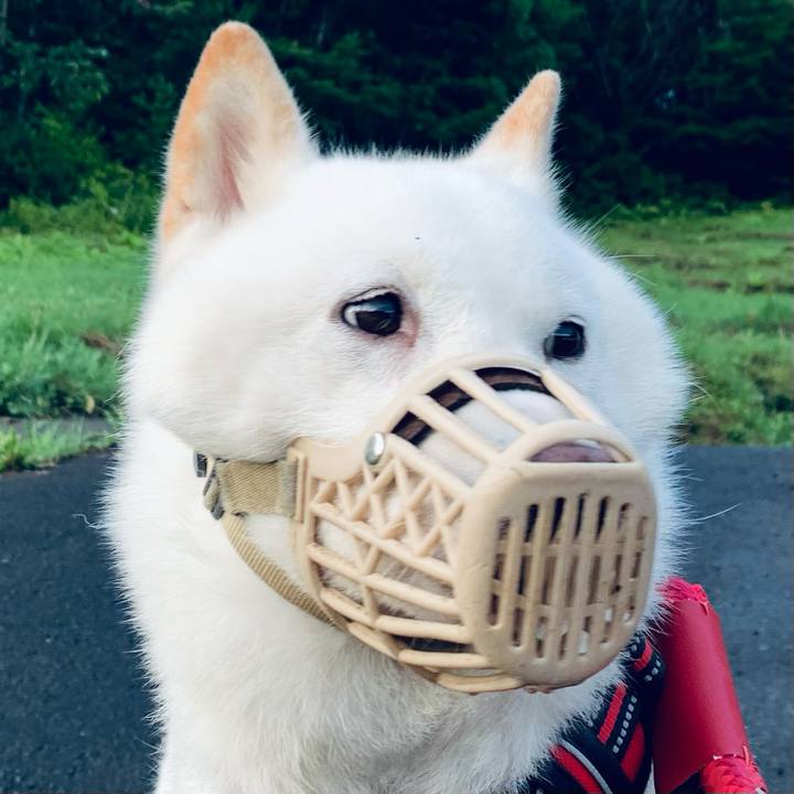 7be5bd2e b8f5 4f05 af14 2a4b9877adaa 1659385909410