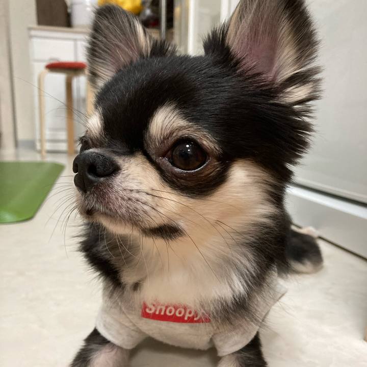 7be5dc94 52a5 49b6 9c03 ca4278fb9c54 1618666763936