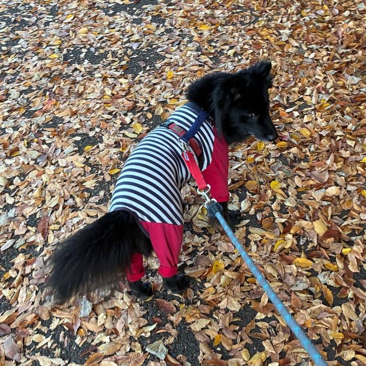 7be5f665 d7c8 43a3 87ea 5e5cbc067f38 1763990470946