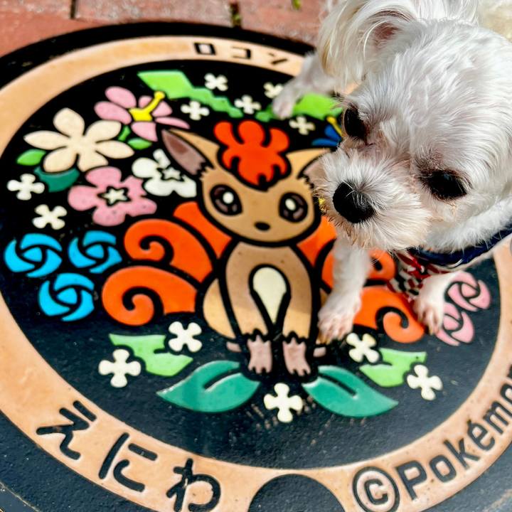 7be6191c 8706 4520 90f0 5734198dad6d 1662954687516