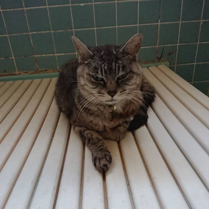 7be68764 8340 46cd ac20 a4d18b0131e8 1569447598686