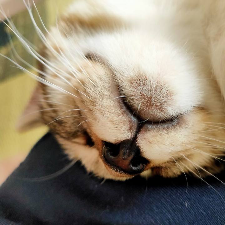 7be6ad6c ebb5 43a5 94a6 602b4d6537bf 1627613002750