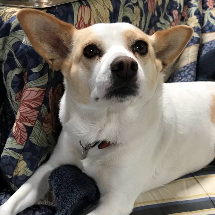 7be6b068 6f55 4e74 aeec c8c1e395df3b 1609032421157