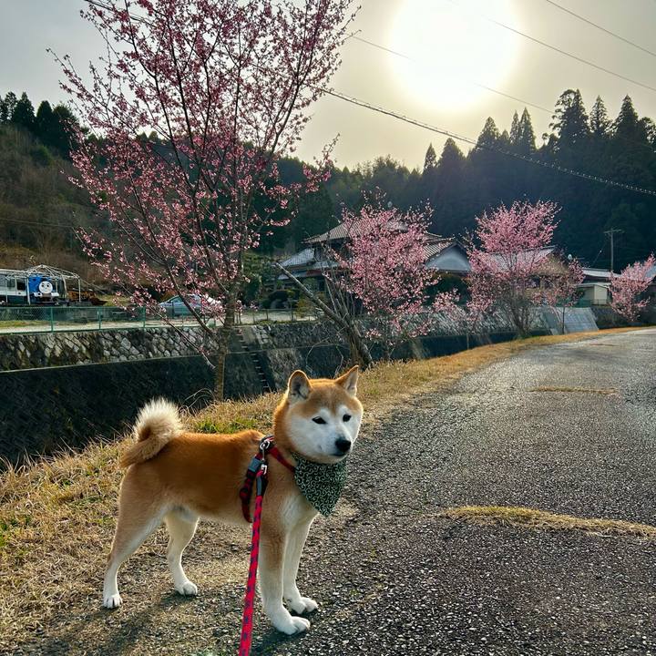 7be6c61c cbbe 4f1d b341 cc6dbb5480a8 1711789159212