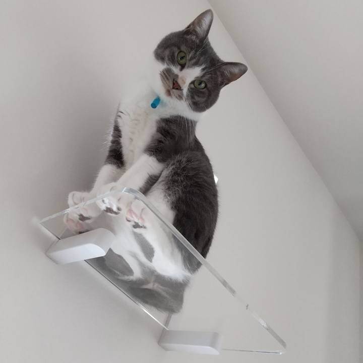 7be6d11a 4b29 47b6 8ec9 e057ec8b709a 1628502498382