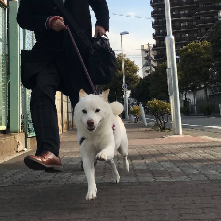 7be71207 7d90 4bf1 a3fa 857b58fd1b79 1518738052086