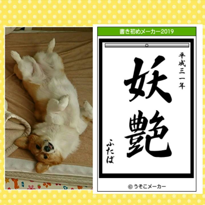 7be7448c 3f78 4d85 82e0 0e30dcde6375 1546474449635