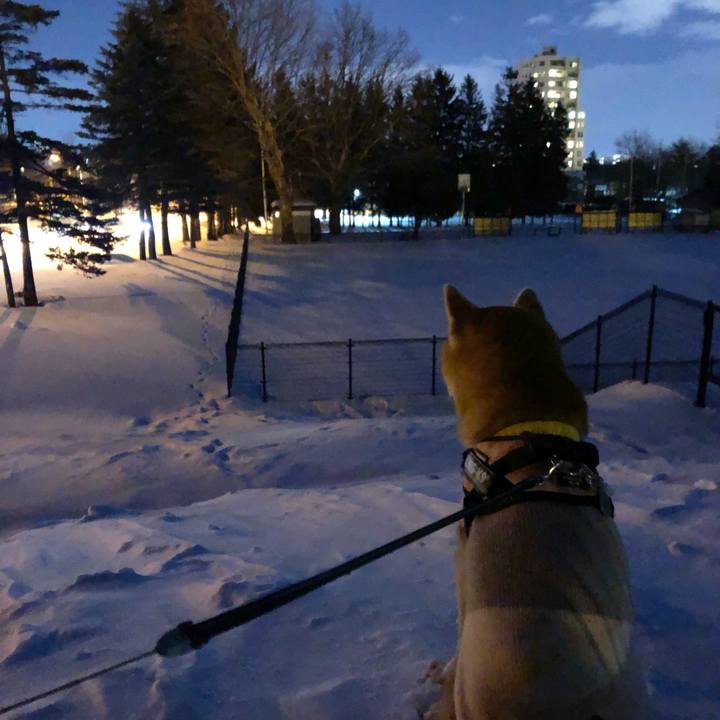 7be75bde a23b 4b8b b65f 7c06530949ec 1549105806442