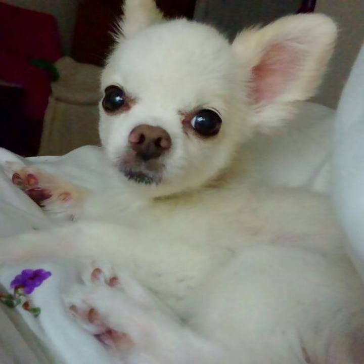 7be76c3f e062 4161 9a1c 8c7091c7e9c6 1562161972124