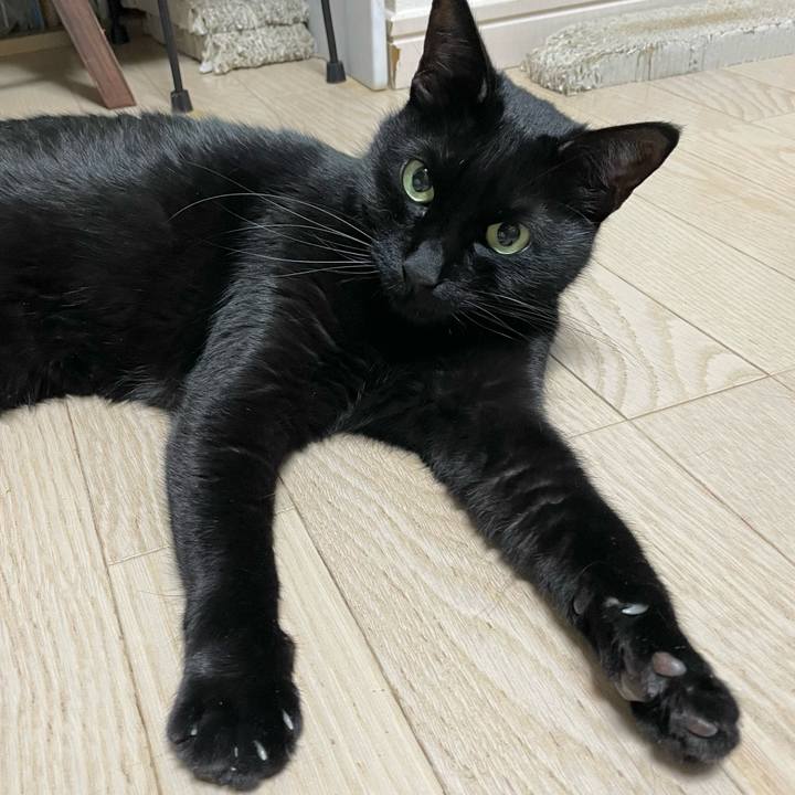 7be7d8f0 5e08 44a9 8183 dfed318984ae 1641734886835