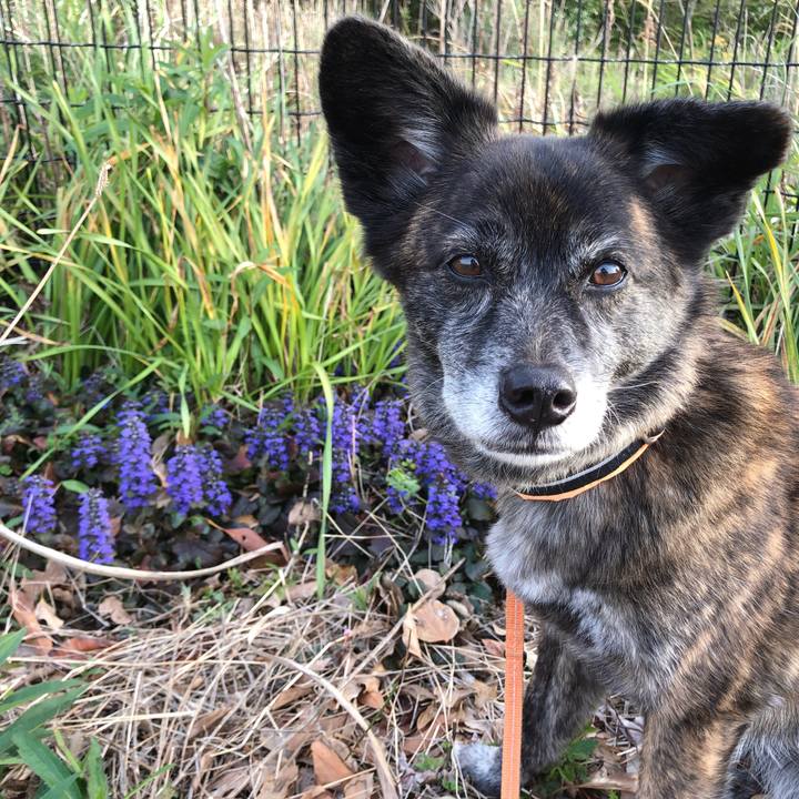 7be7dd08 846f 4a20 854c b5a827d521a6 1617153014116