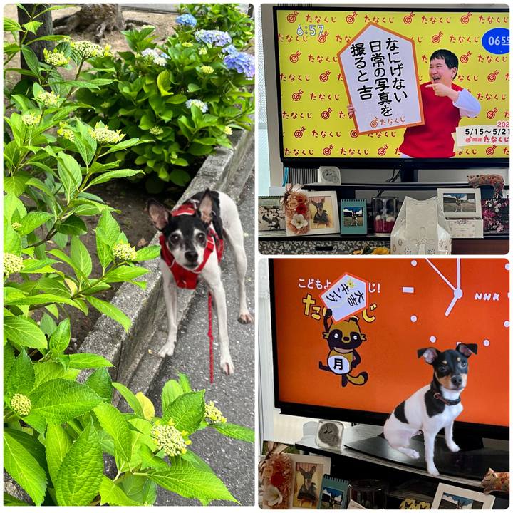 7be7e182 4d2d 4203 b078 3b629c74830a 1684101976472