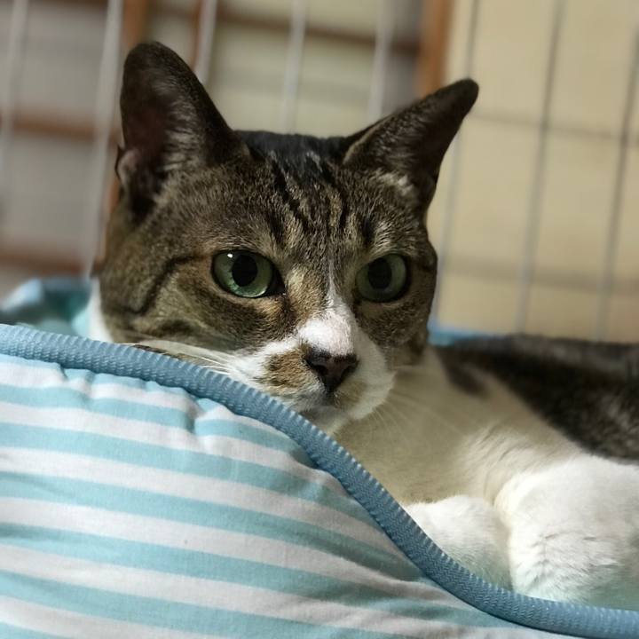 7be8002c c2de 40fc 89c7 5a763e822de3 1532562385008