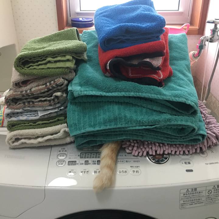 7be83e5a 6e9e 4f4d 9894 301eddb43ae2 1528431723184