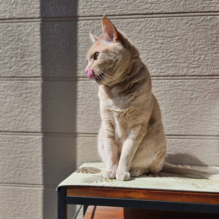 7be84fa1 2ea3 46c5 80e8 5bfb229886e9 1745642727974