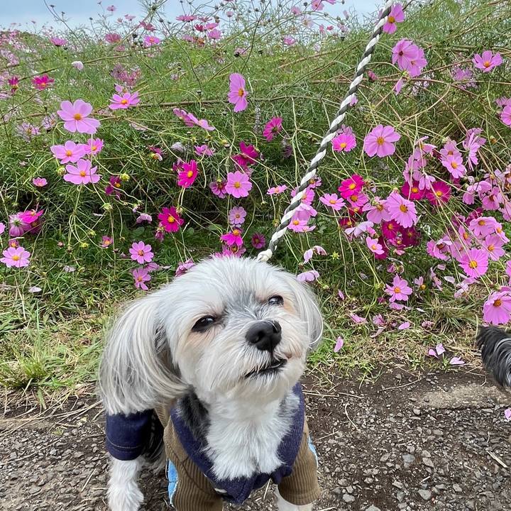 7be85fdd e78c 4fa5 b7f5 f5073885ce85 1762698428829