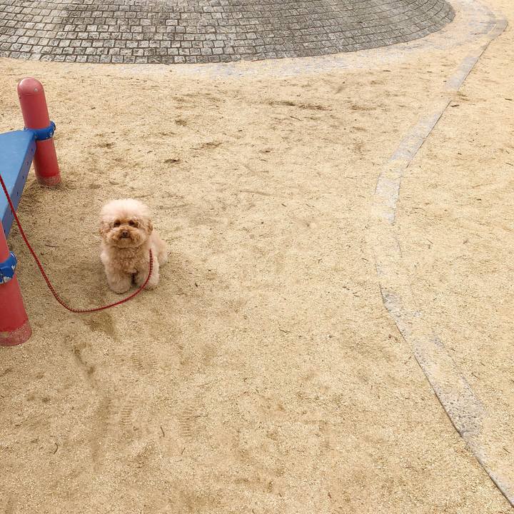 7be89b86 9256 4c44 b942 5eb7d3836e44 1514518801255