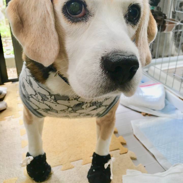 7be8a69a 9225 4145 8279 b876bedd41fc 1540304015255