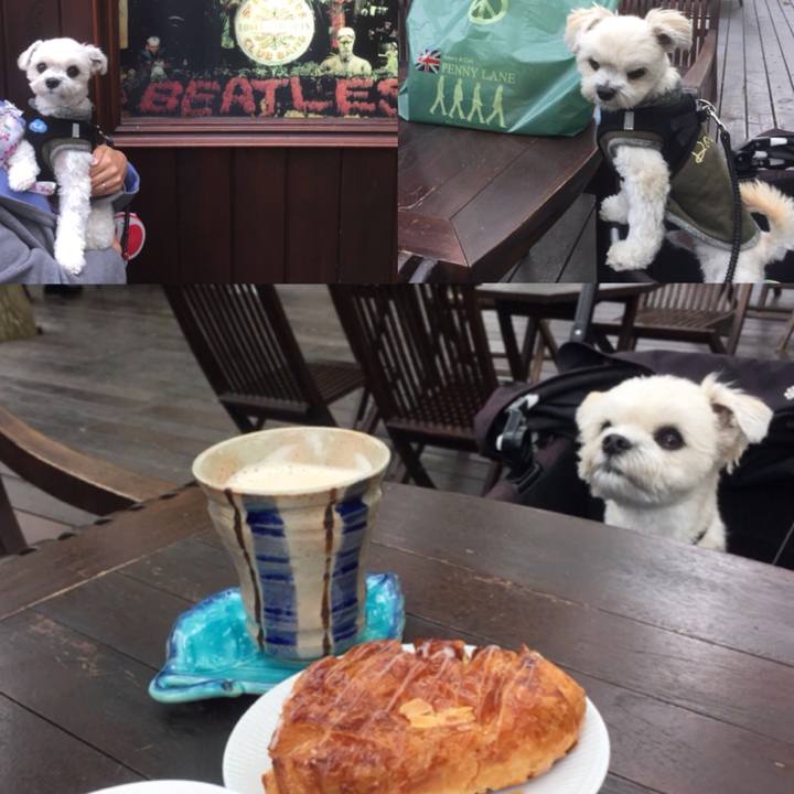 7be8c4ae 0080 4f6d b7e5 c7fb89c0ddb5 1510045618204