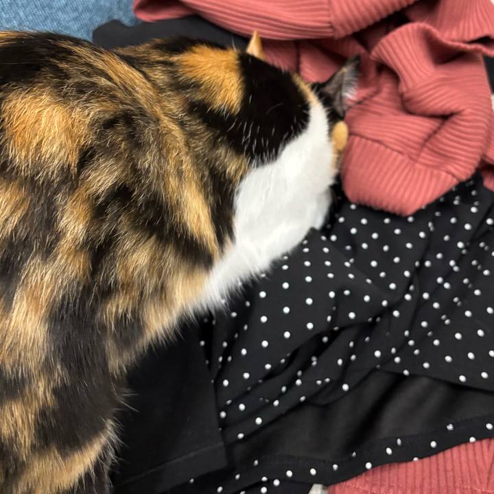 7be8d52e 779b 4a71 ac44 eb87d2c7fdcf 1765594130183