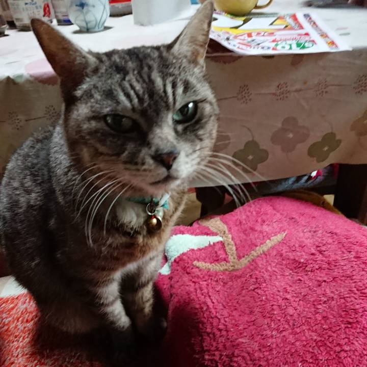 7be8de20 88ff 47d1 8121 b22e9ace9c1c 1557438285160