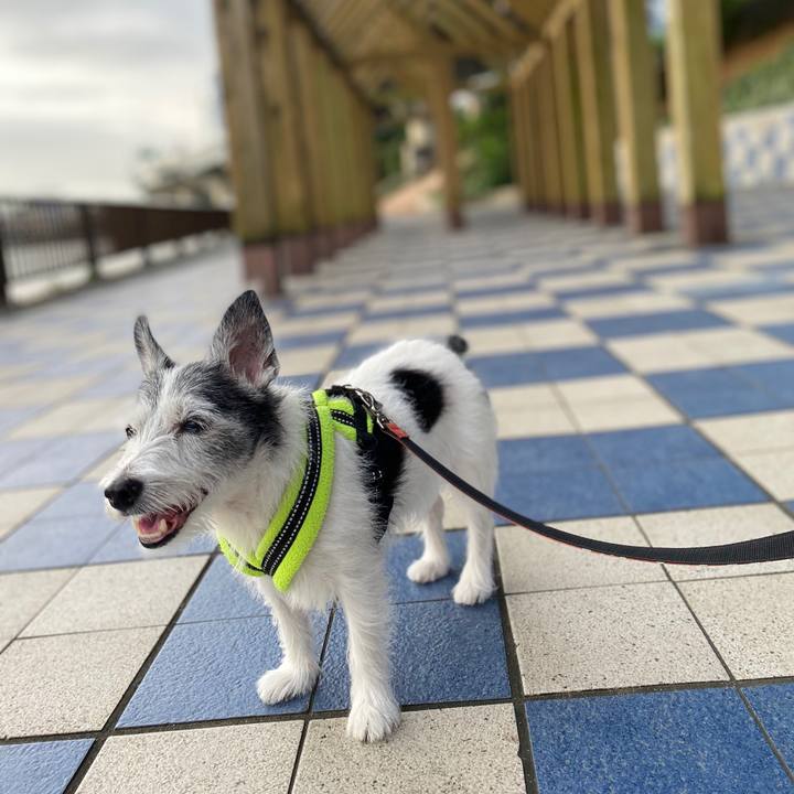 7be8eb2b 90c7 4a3d 8da3 37b8991db2c3 1596369502194