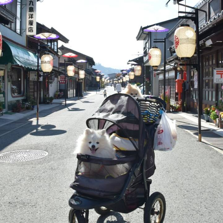 7be8fabd 6f30 41bd a506 f52a164333b5 1507736937988