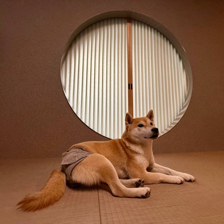 7be99257 9386 4941 b015 eaff48229ffe 1766976337565