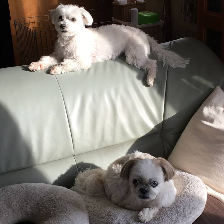 7be992a4 00f9 4695 999b b5380aadc3c2 1549780372322