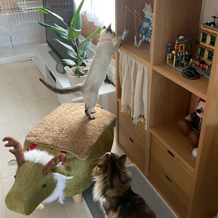 7be9c3e8 7034 472f 8fcf 3fdb04b7277e 1694556254718