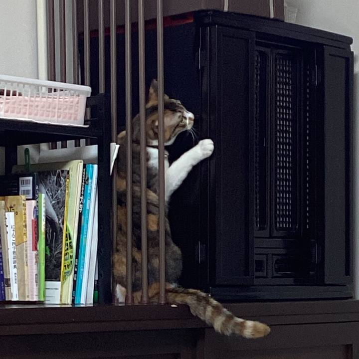 7bea24e1 b847 4e7e a55a ffb941a023d8 1671750444309