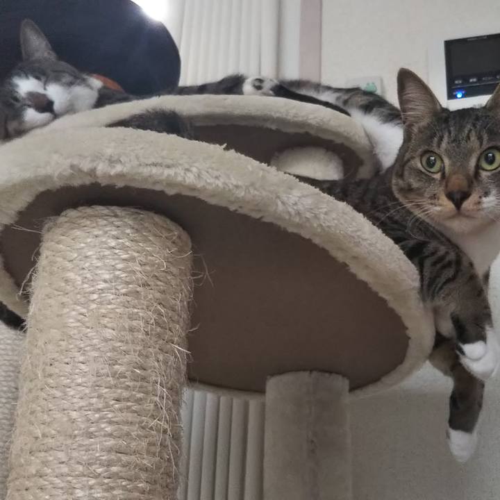 7bea754a edf3 4f99 ab8e 34b2a9690902 1615548614401