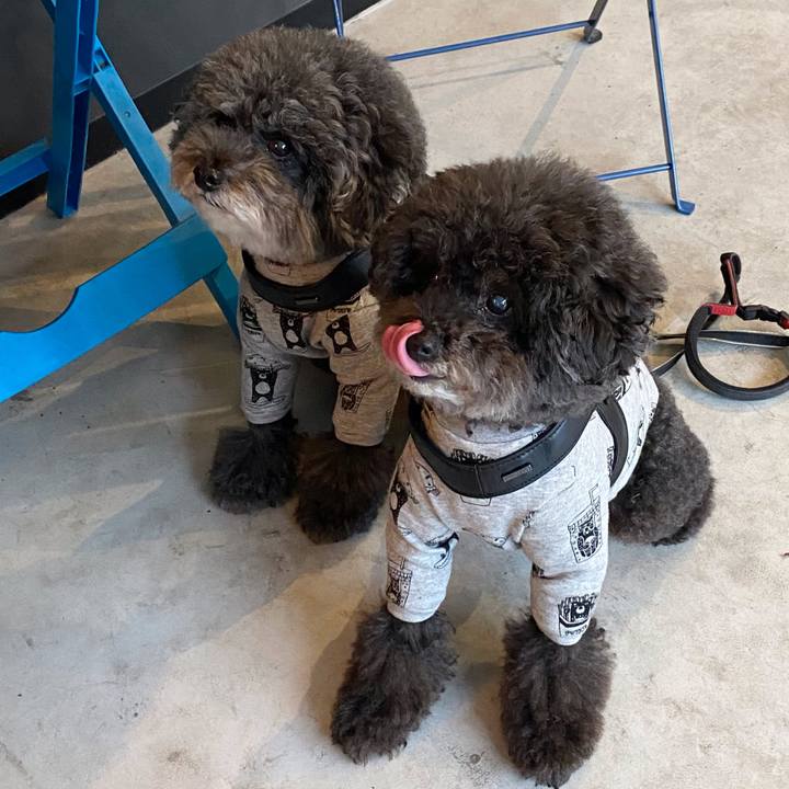 7bead2dd f0d3 4bd8 b562 8dcf51c69c24 1634469332720