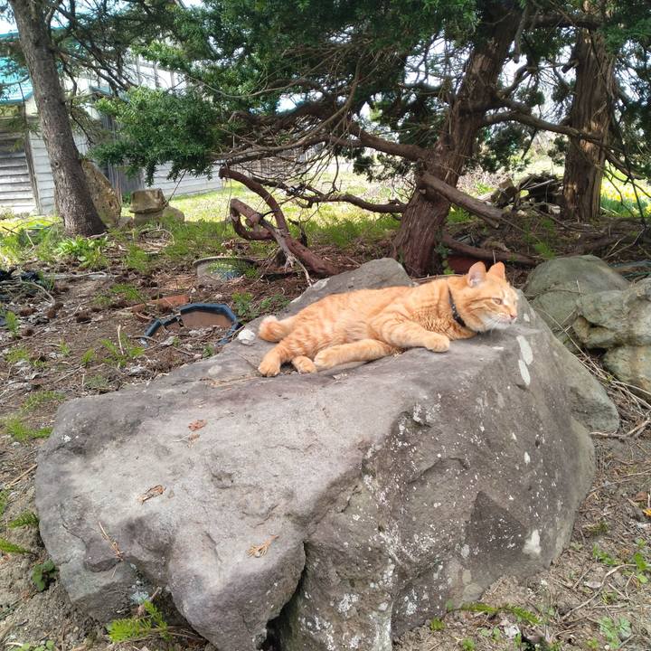 7beaf230 0e56 4819 939e a064e3ad4abf 1681453620932