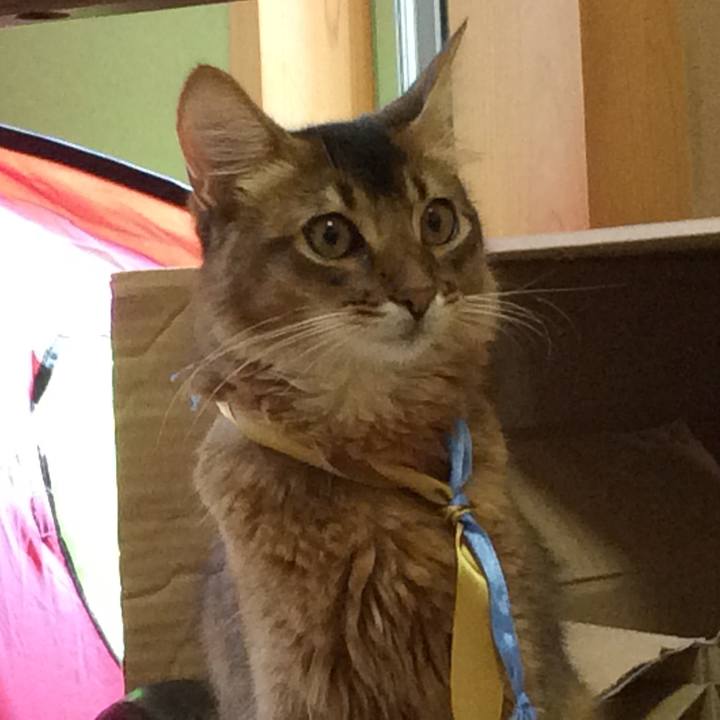 7beb276c cfa1 44b6 b0a0 b07bcee3e588 1565515519839