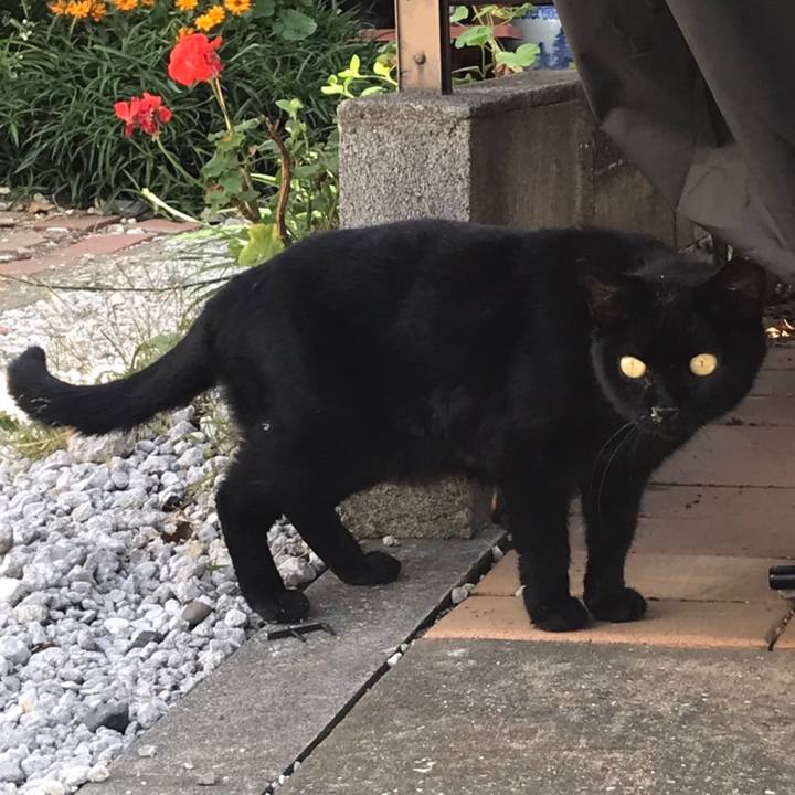 7beb279d 8658 4cf4 8507 dc08b2aa674c 1667102587986