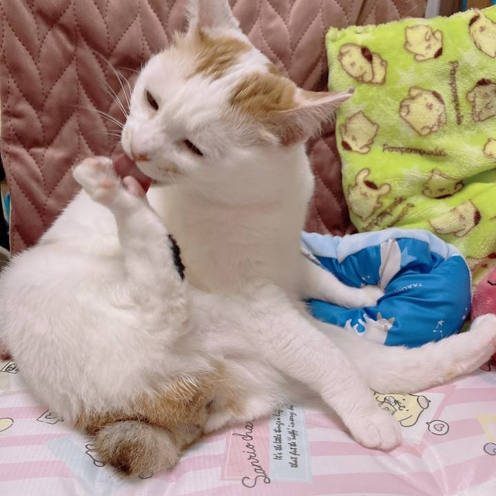 7beb3e2e b098 40bf 93ac a8a77d9986c6 1653711940290