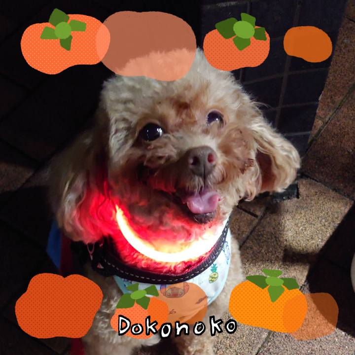 7beb3e97 956c 4c3a aafc 6df843e9fe07 1761784231041